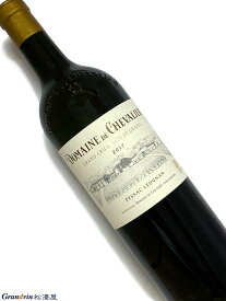 2017年 ドメーヌ ド シュヴァリエ ブラン 750ml フランス ボルドー 白ワイン