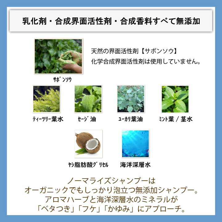 楽天市場 無添加 シャンプー グレンジ ノーマライズシャンプー 35ml 無添加 低刺激 ノンシリコン オーガニック おすすめ ボタニカル オイリータイプ ダメージ アトピー肌 脂漏性湿疹 かゆみ 頭皮湿疹 メンズ 植物性 頭皮ケア 頭皮クレンジング Grange Japan