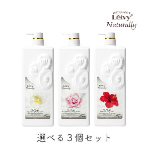 ANVX CB[ fBAX{fBVv[ 1200ml Iׂ3Zbg ANVX {fBEHbV q M S[g~N