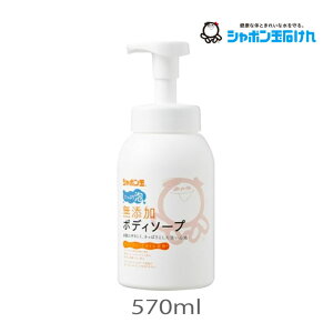 V{ Y {fB\[v ՂA { 570ml 1 V{ʔ̔ A  F q  q  ΂ {g