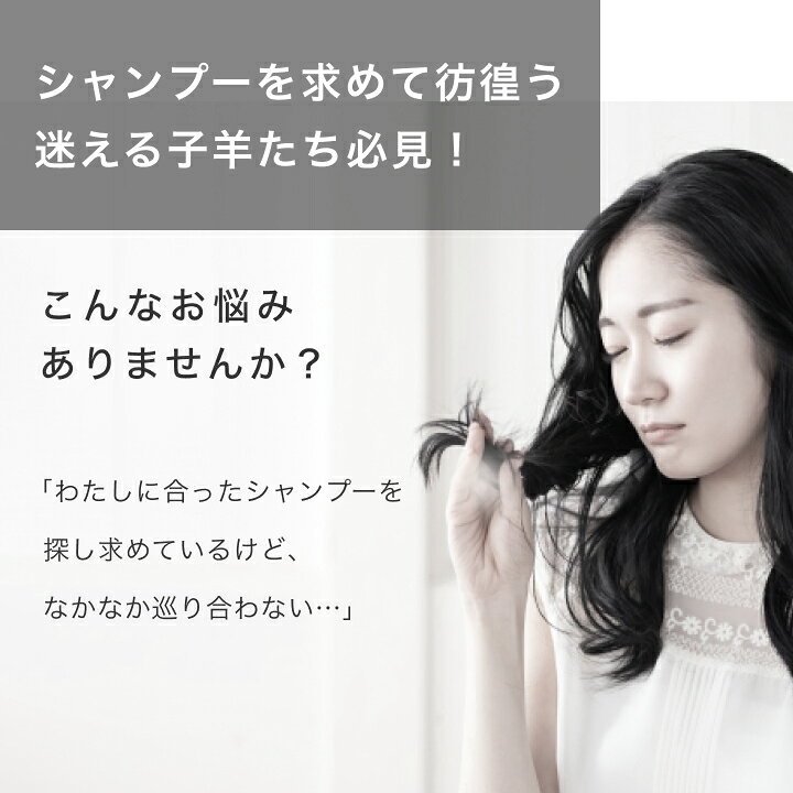 楽天市場 8セット 送料無料 トライアルセット シャンプー トリートメント コンディショナー お試しセット ヘアケア アソート ダメージ 補修 うねり 指通り まとまり 寝癖 くせ毛 枝毛 切れ毛 頭皮 お試しセット 詰め合わせ パウチ Np グラニーレプラス 楽天市場店