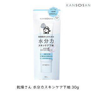 X^COBCL  ̓XLPAn 30g  ێ ь΍ x^΍ ݂݂ 邨 KANSOSAN