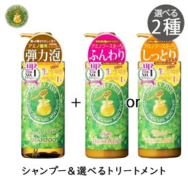 [計2本]ハニープラス シャンプー＆選べるトリートメントセット 500ml ボトル スムース＆リペアシャンプー レイナチュラル ハニープラスシャンプー ノンシリコンシャンプー アミノ酸系 はちみつ コンディショナー カラーケア ヘアカラー 長持ち フローラルの香り
