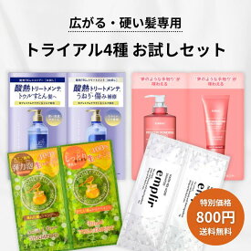 【最大400円割引★マラソンクーポン配布中】【広がる・硬い髪専用トライアル】シャンプー＆トリートメント 4種お試しセット サロン級 アソート ハニープラス トゥルースト 酸熱 MDアンプリール クンダル ダメージケア うねり 剛毛 多毛 まとまり パウチ 旅行用