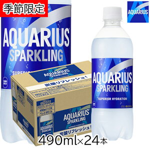 yċGI݌ɌzANGAX Xp[NO 490ml PET × 24{ [1P[X] O[vt[c Y_ ANGAXXp[NO RJER[ ANGAXY_yܖF2025N1118