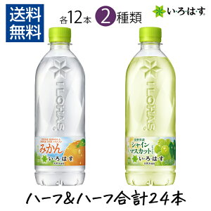 yő111~}\N[|zzz͂ VC}XJbg݂ 12{×2 540ml×24{ 1P[X EÉE RJER[ PET P[X ybg{g Ԃǂ ~J 