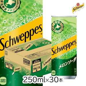 RJER[ VEFbvX \[_ 250ml CAN×30{  ʃW[X W[X  kC  ׂ `FCT[ \tghN \[_