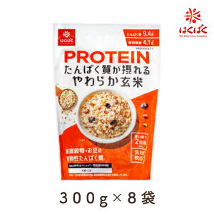 ͂΂ ςۂ炩 300g×8܁i1P[Xj ܂Ƃߔ veC PROTEIN G  I[c  _CGbg NHi g[jO h{⋋ H@