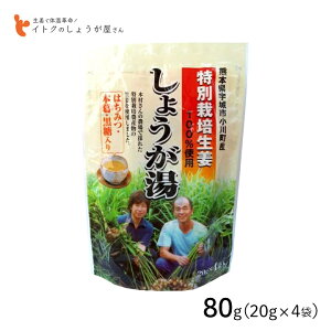 CgNHi ʍ͔|傤 80g(20g×4p) F{ʍ͔|I  { I w엿sgp L@엿 ̎P mb