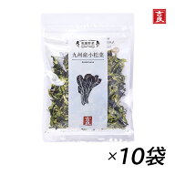 【555円割引★10/1 24時間限定クーポン配布中】【九州産小松菜】吉良食品 小松菜 40g 10袋 こまつな 乾燥…