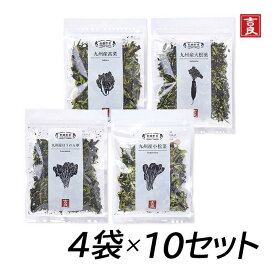 吉良食品 乾燥野菜　緑の野菜セット 4種類各10袋 まとめ買い 乾燥野菜 野菜 食材 乾物 保存食 防災 備蓄 使い切り 時短 手軽 少量 インスタント 具 具材 ドライ 干し 国内産　[80]