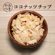 【最大1000円割引★スーパーセールクーポン配布中】【1袋】 ココナッツチップ 75g 単品 ヤシの実 おつま…