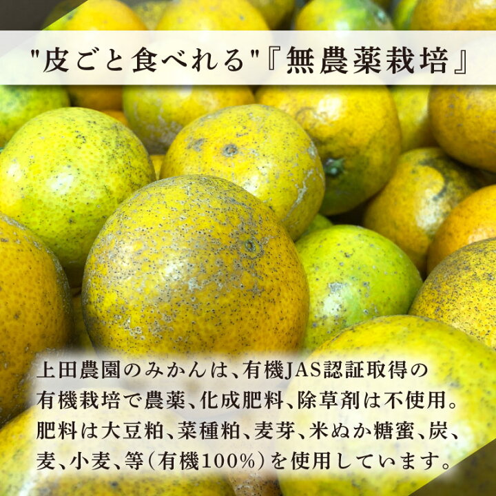 楽天市場 うえださん家の有機みかん g Mb グラニーレプラス 楽天市場店