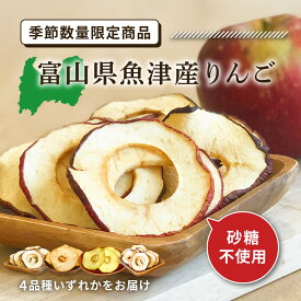 【季節限定】富山県魚津産りんご 20g 単品 国産 砂糖不使用 林檎 アップル リンゴ 皮付き スライス 果物 ドライフルーツ ドライりんご