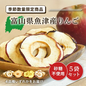 yő111~ubNtCf[N[|zzzyGߌzxRÎY 20g 5 Y sgp ь Abv S t XCX ʕ hCt[c hC