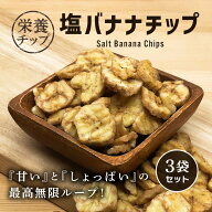 塩バナナチップ 110g 3袋セット ドライフルーツ バナナチップス 食物繊維 エネルギー 代謝 栄養 健康