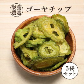 【5袋】ゴーヤチップ 60g×5袋 野菜チップス おつまみ ドライ 乾燥野菜 ゴーヤー チップス にがうり