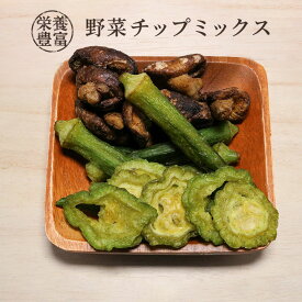 【1袋】野菜チップミックス 65g しいたけ オクラ ゴーヤー 野菜チップス 栄養 食物繊維 ビタミン 健康　スナック