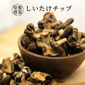 しいたけチップ 40g 1袋 野菜チップス 椎茸 台湾 乾燥野菜 シイタケ おやつ おつまみ kpnuts-172