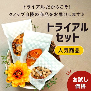 yő555~X[p[Z[N[|zzzNmbv gCAZbg ulCiv gt ƍ~bNX oii`bvX L@݂ hCt[c |bL  |C