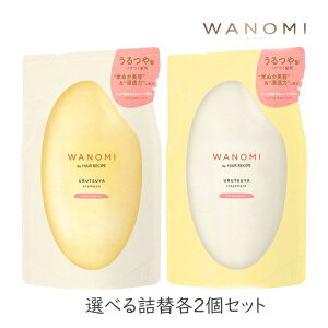 P&G wAVs a̎ Iׂl2܃Zbg 300ml 1Zbg P&G HAIR RECIPE Ăʂ e IC mVRVv[