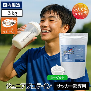 _IׂTv[g^WjAveC TbJ[pveC [Og 1kg 50H qǂ qp LbY g veC w Z  Tv