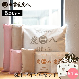 炭八 8L トライアルセット 7点 お試し 出雲屋炭八 除湿剤 消臭 調湿剤 湿気 脱臭剤 玄関 下駄箱 除湿 車 繰り返し使える除湿剤 ダニ 結露 対策に 公式サイト