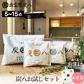 炭八 お試し 4点セット 炭八 クローゼット 専用ホルダー ひのきサシェ おまけ付　＜3L スマート小袋 一重 小袋＞ 繰り返し使える 除湿剤 調湿剤 湿気 除湿対策 消臭 カビ予防 テレ東マート 公式サイト