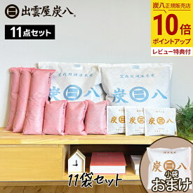 【最大111円割引★お買物マラソンクーポン配布中】11袋セット 出雲カーボン 炭八 ＜室内用2・押入れ用3・タンス用3・スマート小袋3＞ 湿気取り　炭 結露 カビ防止 湿気 脱臭 防虫 梅雨対策 テレ東マート 公式サイト