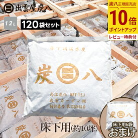 【最大111円割引★お買物マラソンクーポン配布中】＜床下用を6袋おまけ＞出雲屋炭八　床下用 約10坪分 120袋セット（15ケース） リフォーム カビ 節電 防虫 床下乾燥 出雲屋炭八 湿気 除湿 消臭 脱臭 炭 テレ東マート 公式サイト