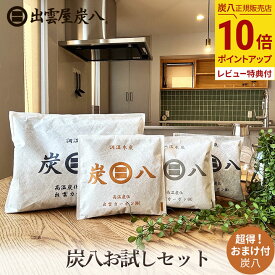 【最大111円割引★お買物マラソンクーポン配布中】炭八 お試し 4点セット 炭八 クローゼット 専用ホルダー ひのきサシェ おまけ付　＜3L スマート小袋 一重 小袋＞ 繰り返し使える 除湿剤 調湿剤 湿気 除湿対策 消臭 カビ予防 テレ東マート 公式サイト