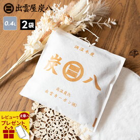 【レビューで選べるプレゼント】炭八 スマート小袋 400ml 2袋セット 湿気対策 除湿 結露 出雲屋炭八 小袋 スマート テレ東マート