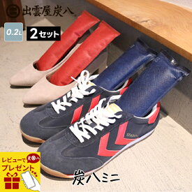 【レビューで選べるプレゼント】炭八 ミニ (同色 2本入 2セット) 靴 消臭 出雲屋炭八 湿気取り 湿気とり 繰り返し使える TV通販 炭8 炭 八 除湿 玄関 シューズキーパー 靴用 炭 下駄箱 靴 スニーカー パンプス テレ東マート