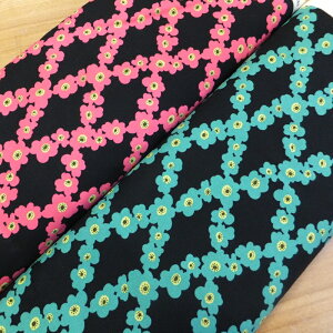 `FV[ ̕z Rbg΂₵( n z)