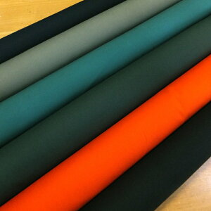 i݌Ɍj11z n *japan ( n z)