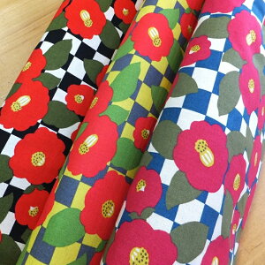  ̕z Rbg΂₵ (Ȗ n z)