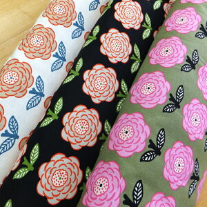 {{[Y ̕z Rbg΂₵ (Ȗ n z)