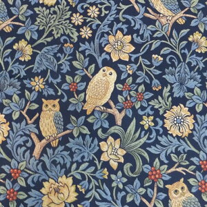 �ӂ��낤���B�W���K�[�h�D(���n �z)