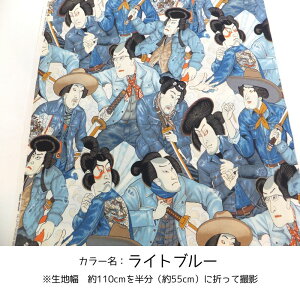 Denim Samurai ALEXANDER HENRY^ (USARbg n z)