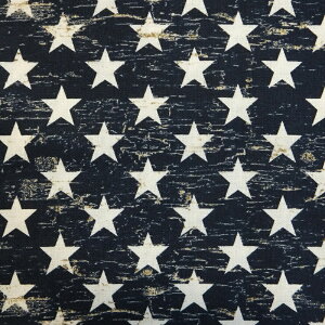 Patriotic Stars (USARbg n z)