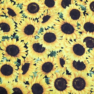 PACKED SUNFLOWERS (USARbg n z)