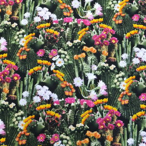 PACKED CACTI FLOWERS (USARbg n z)