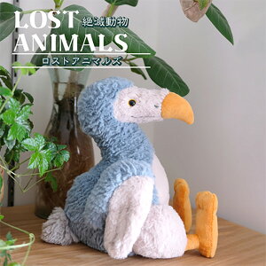 h[h[ œ ʂ  dodo T | ʂ j  q l j a NX}X Mtg v[g ʂB m   傫  ӂӂ 