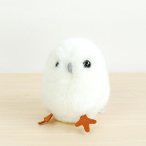 yX^[`Ch { ӂ낤z ʂ 1 2 3 4 5 6 j  q l j oYj a NX}X Mtg v[g ʂB m   傫