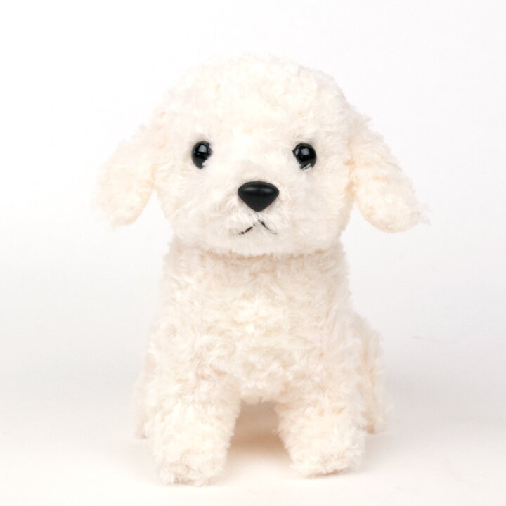 楽天市場 スターチャイルド 日本製 トイプードル アイボリー ぬいぐるみ 1歳 2歳 3歳 4歳 5歳 6歳 男 女 子供 大人 お祝い 出産祝い 誕生日 クリスマス ギフト プレゼント ぬい撮り 知育 おしゃれ おすすめ 小さい ふわふわ 癒し かわいい 国産 動物 兎