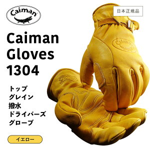 カイマン グローブ」の人気商品一覧 | 安い商品を通販サイトから探す 