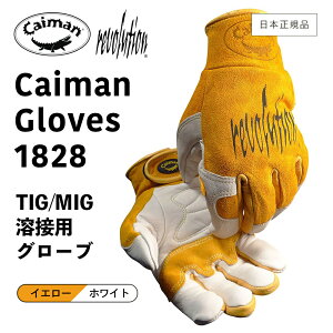 y  ^ {Ki z Caiman1828 m JC} Revolution {[V TIG/MIGnڗpO[u JEEOC n O[u \v sbOXvbg ؍v Ci[X TIGn MIGn