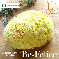【 送料無料 】 ベリーニ 天然 海綿スポンジ ［ ハニコム 種 / 全身用 Lサイズ 約14〜16cm ］ お風呂 ス…