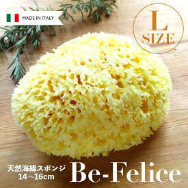 【 送料無料 】 ベリーニ 天然 海綿スポンジ ［ ハニコム 種 / 全身用 Lサイズ 約14〜16cm ］ お風呂 スポンジ 高品質スポンジ 天然 シースポンジ 肌荒れ 乾燥肌 ボディタオル アトピー 肌トラブル Be-Felice オーティーエスジャパン 正規品
