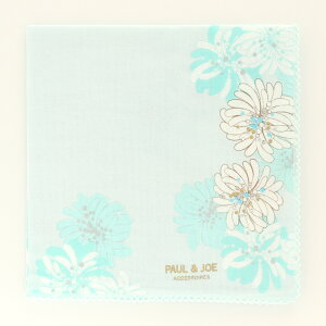 PAULJOE |[AhW[ nJ` M NUe[ u[ ^InJ` ~j^I nh^I K[[nJ` uh  킢 Mtg v[g ԕ  Rbg 